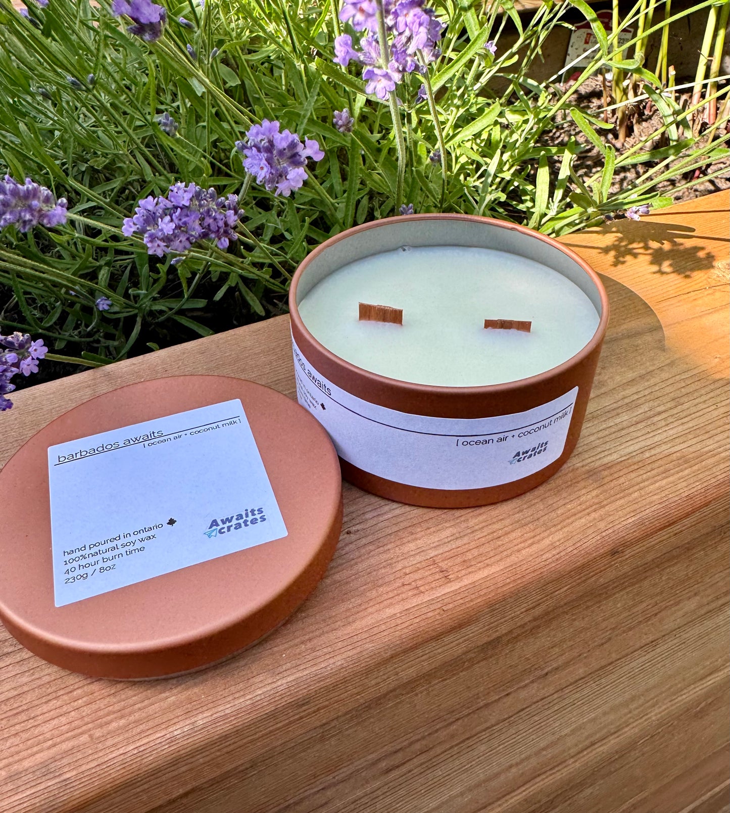 Barbados Awaits Luxury Soy Wood Wick Candle: ocean air + coconut milk