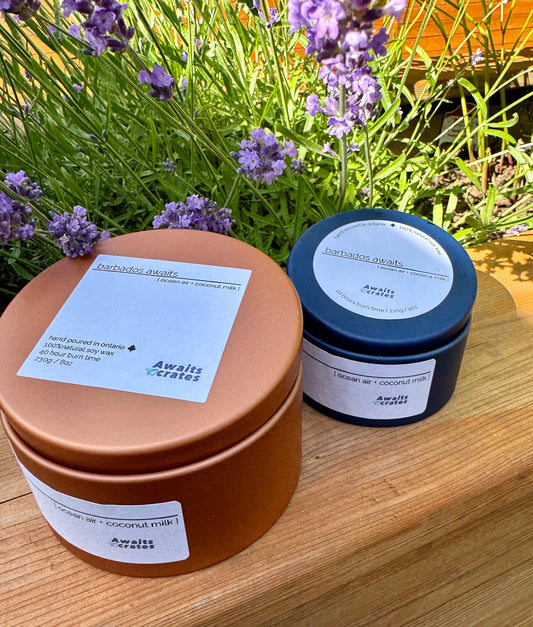 Barbados Awaits Luxury Soy Wood Wick Candle: ocean air + coconut milk