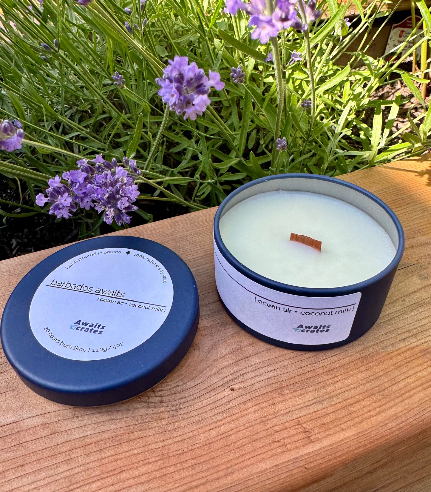 Barbados Awaits Luxury Soy Wood Wick Candle: ocean air + coconut milk