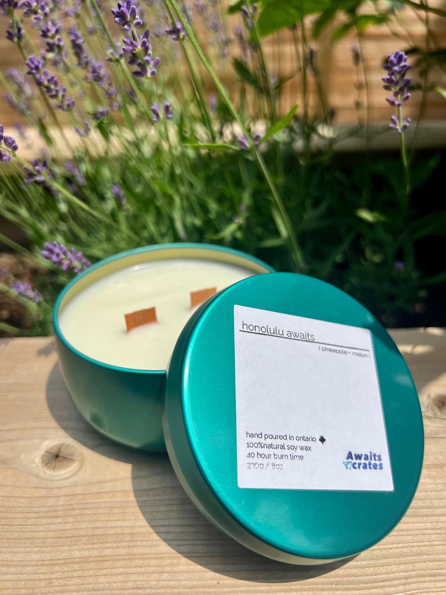 Honolulu Awaits Luxury Soy Wood Wick Candle: pineapple + melon