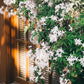 Hamptons Awaits Luxury Soy Wood Wick Candle: jasmine + musk