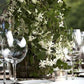Hamptons Awaits Luxury Soy Wood Wick Candle: jasmine + musk